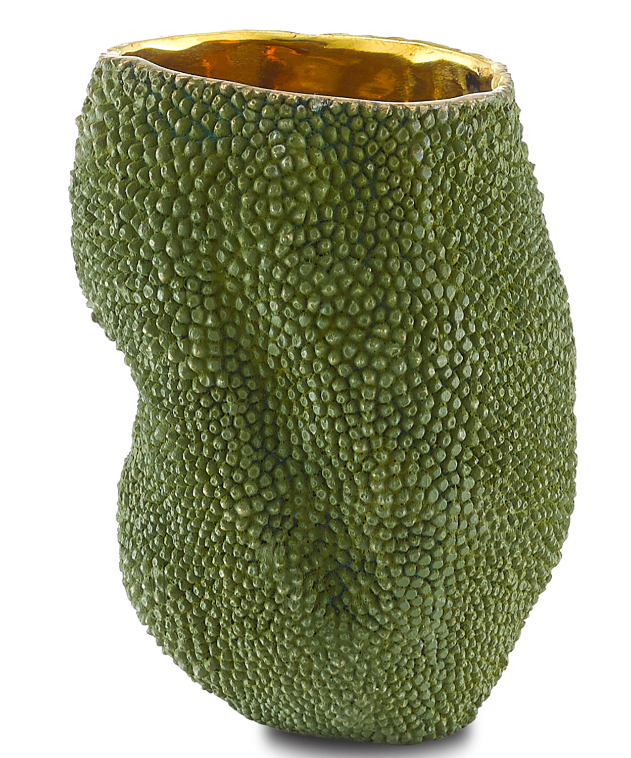 Currey and Company Vase from the Jackfruit Collection collection in Green/Gold finish