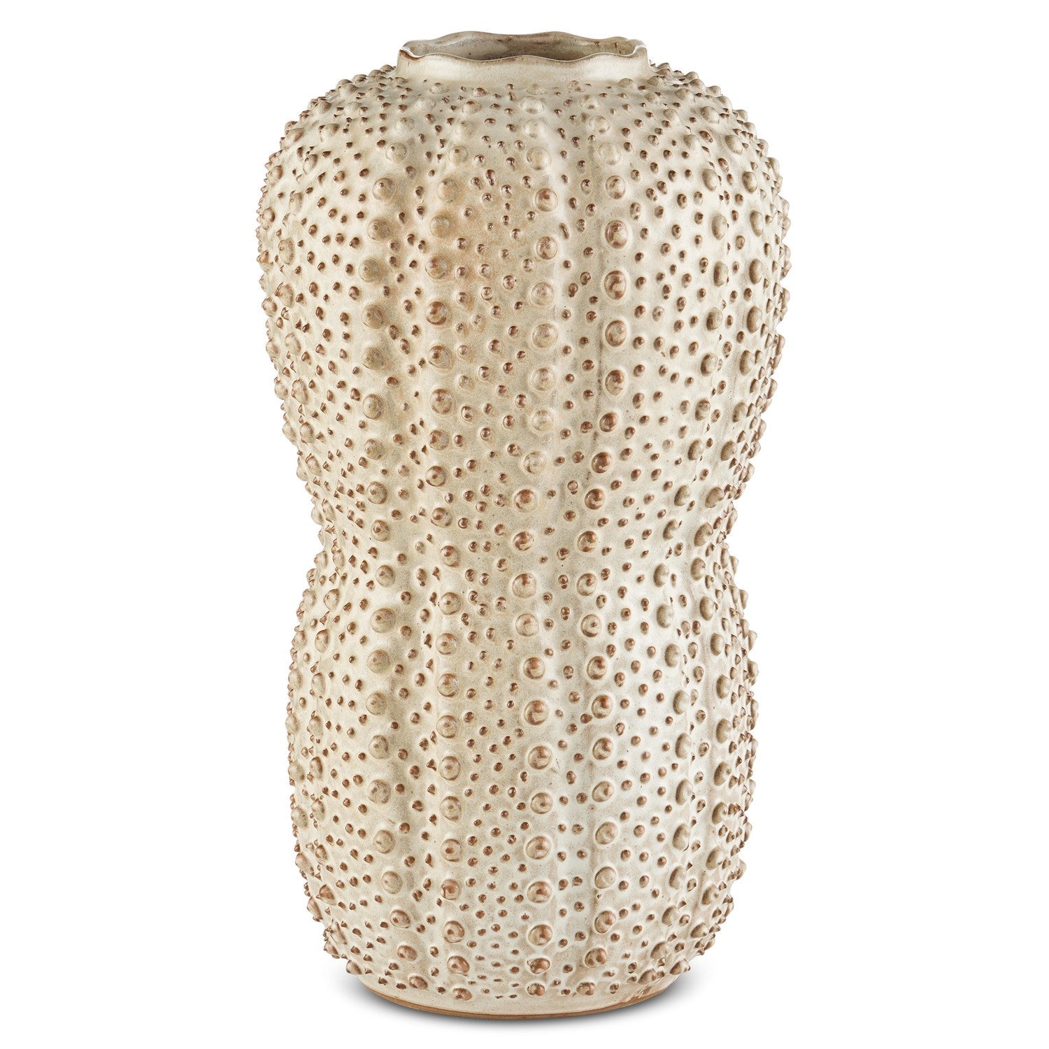 Currey and Company Vase from the Peanut Collection collection in Ivory/Brown finish