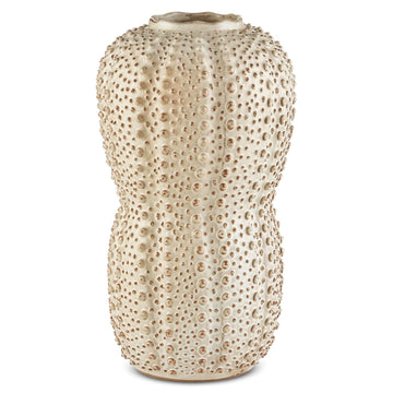 Currey and Company Vase from the Peanut Collection collection in Ivory/Brown finish