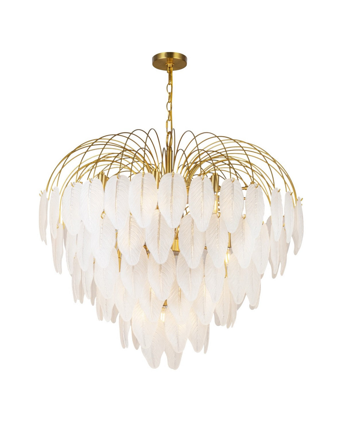 Artcraft 24 Light Chandelier from the Alessia collection in Brushed Brass finish
