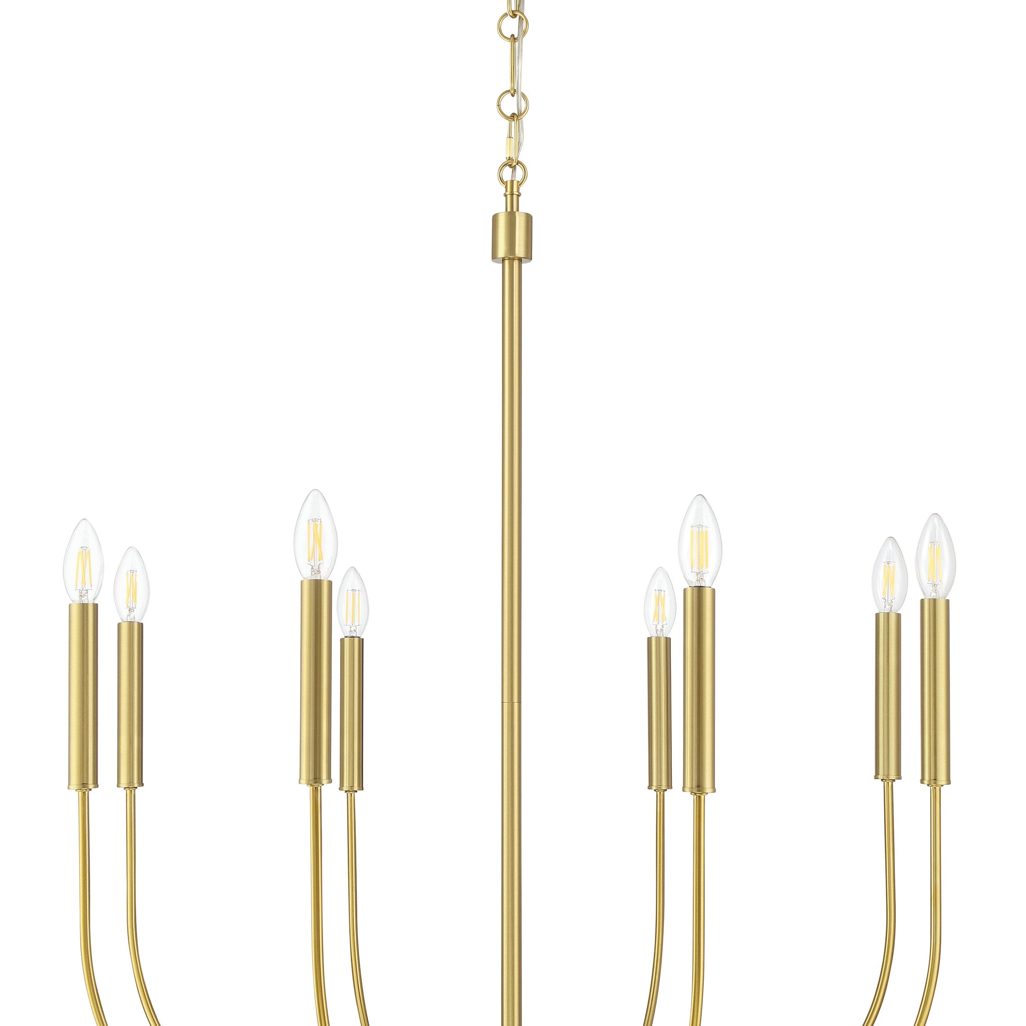 Craftmade Eight Light Chandelier from the Traci collection in Satin Brass finish