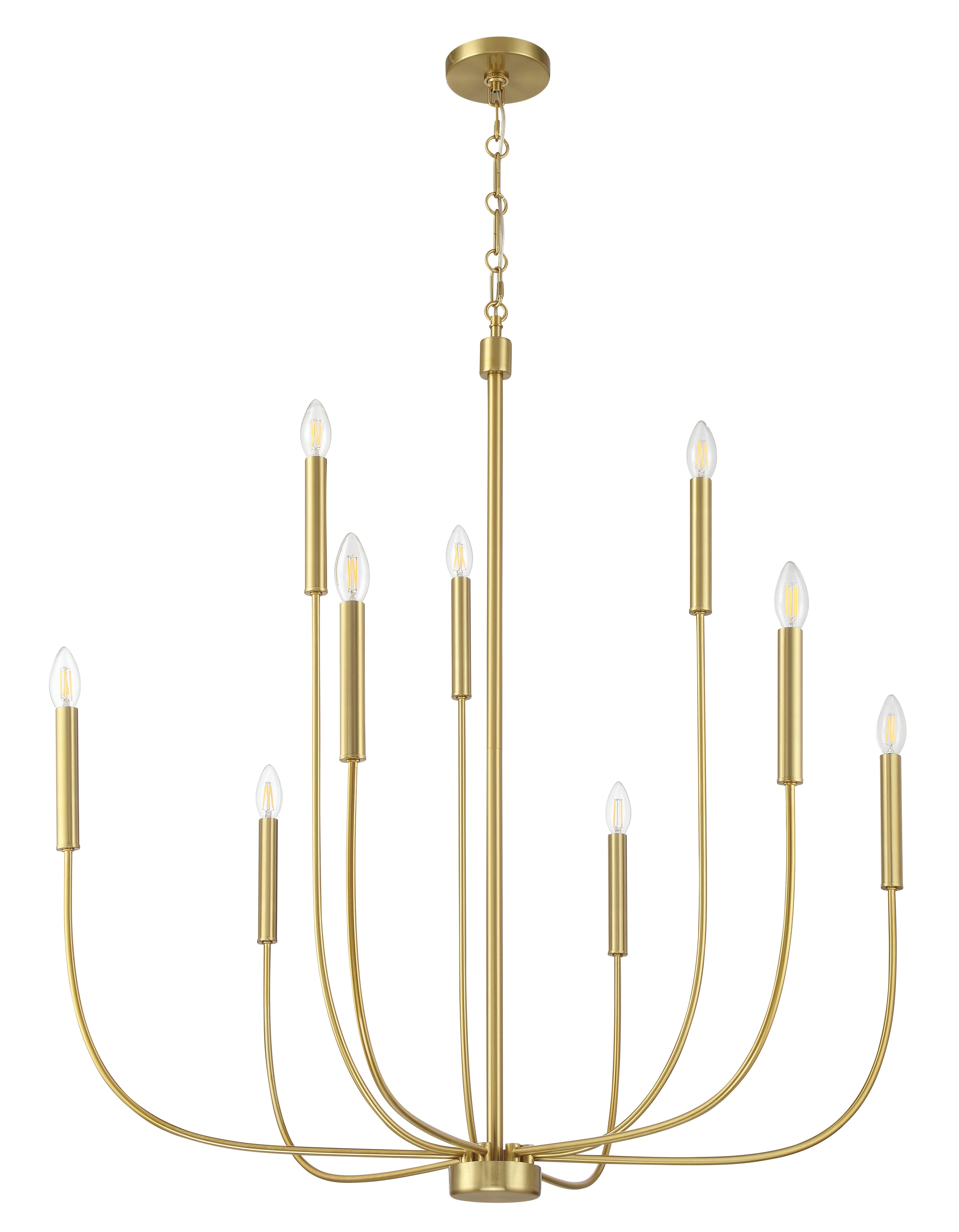 Craftmade Nine Light Chandelier from the Traci collection in Satin Brass finish
