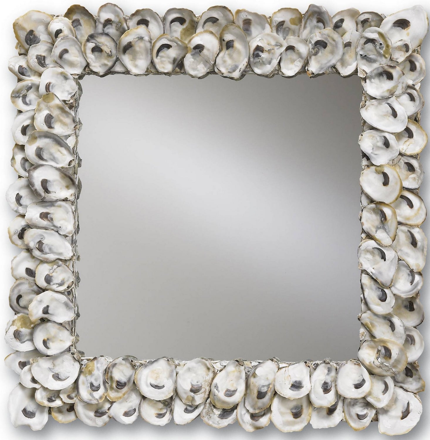 Currey and Company Mirror from the Oyster Shell Collection collection in Natural/Mirror finish