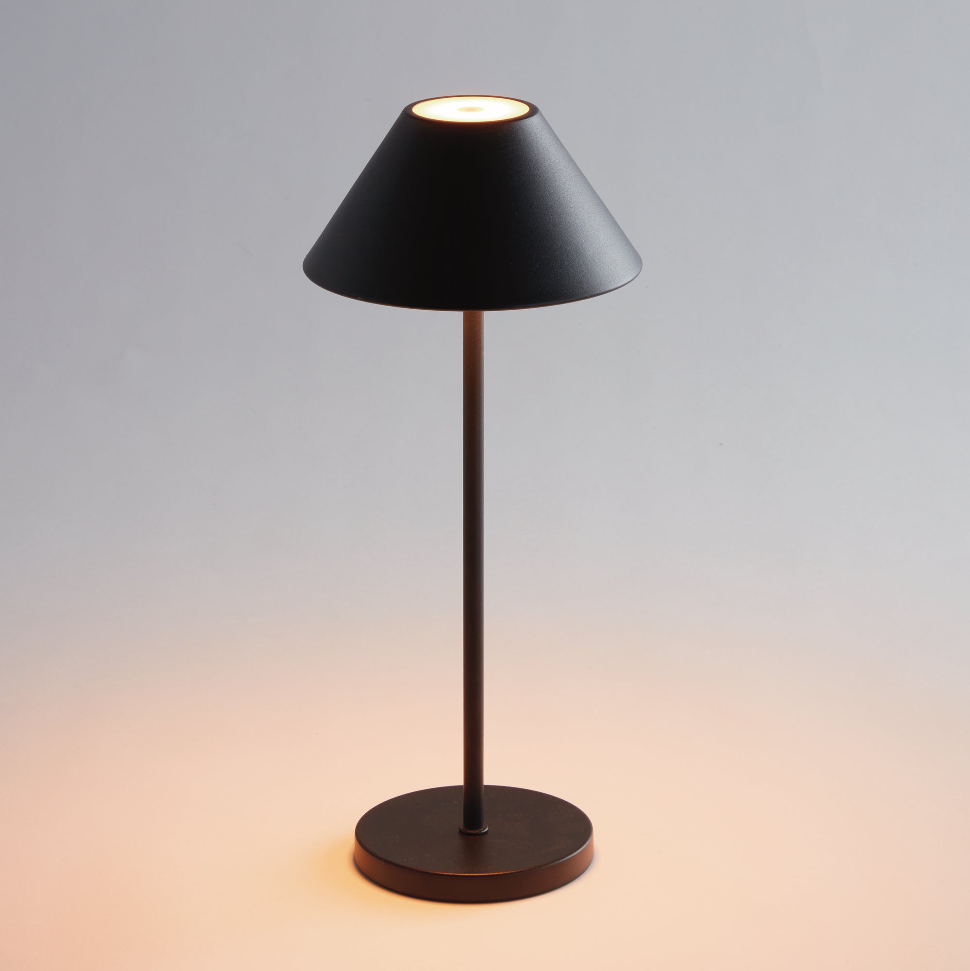 Design Shop Alluna Cordless Led Lamp 14"