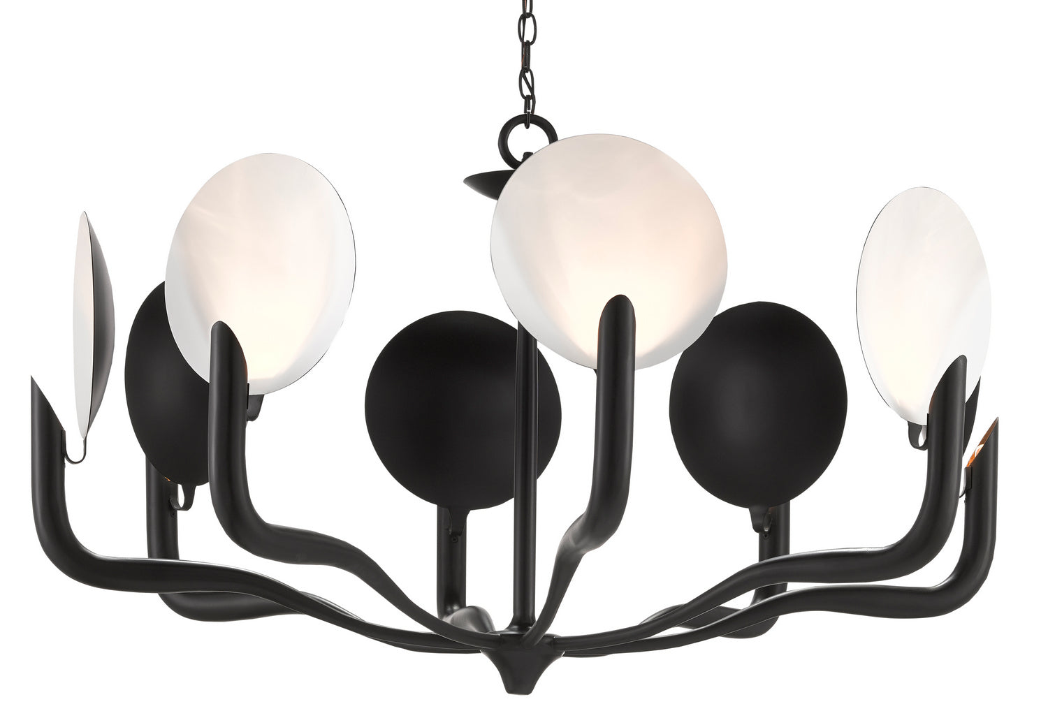 Currey and Company Eight Light Chandelier from the Tirtoff Collection collection in Satin Black/Sugar White finish