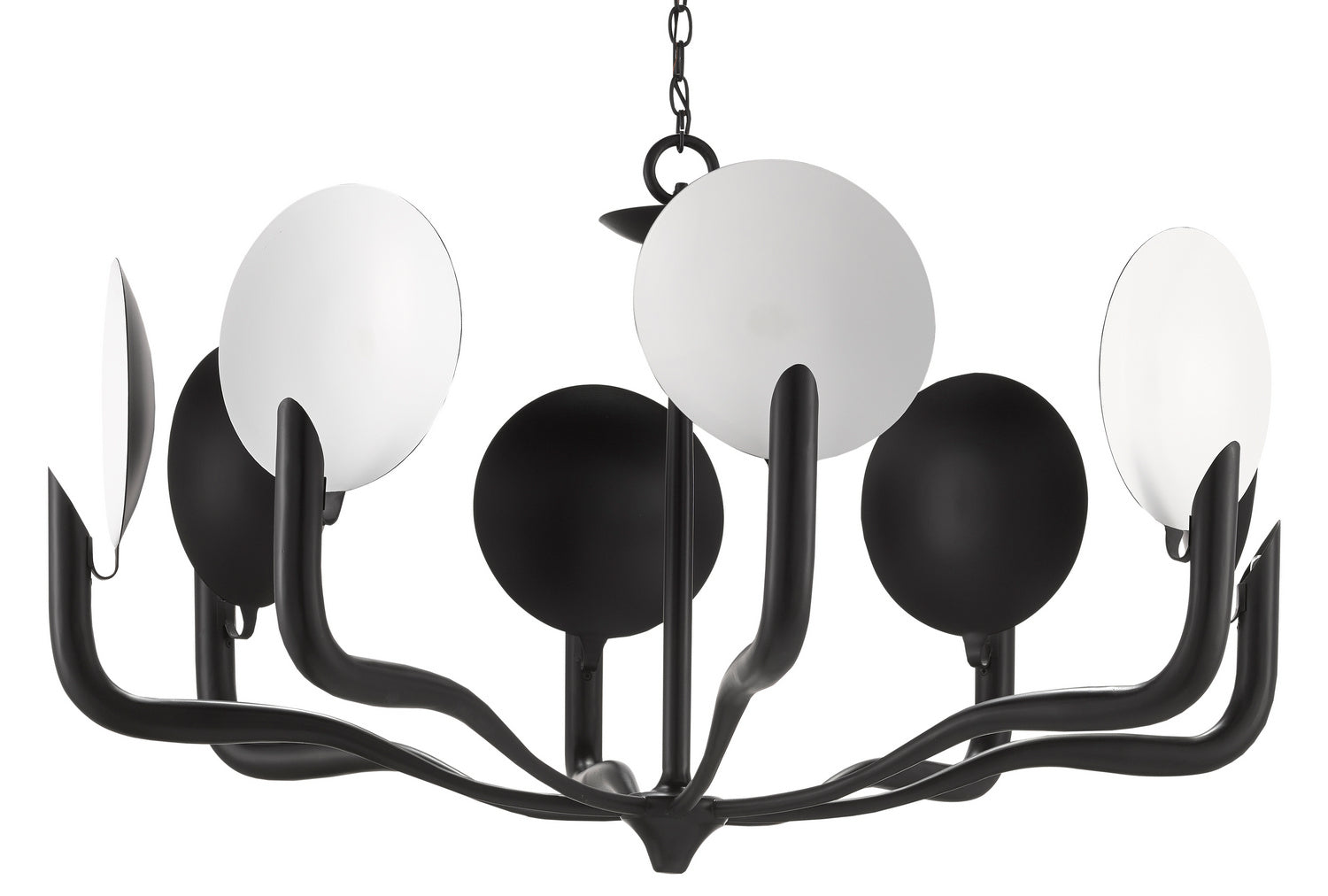 Currey and Company Eight Light Chandelier from the Tirtoff Collection collection in Satin Black/Sugar White finish