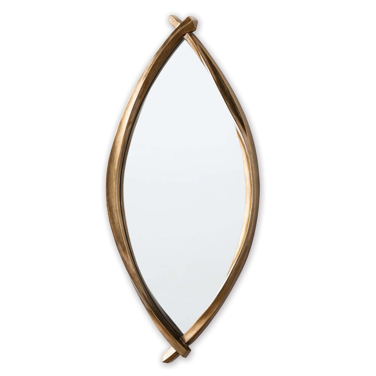 Regina Andrew Mirror from the Arbre collection in Antique Gold Leaf finish