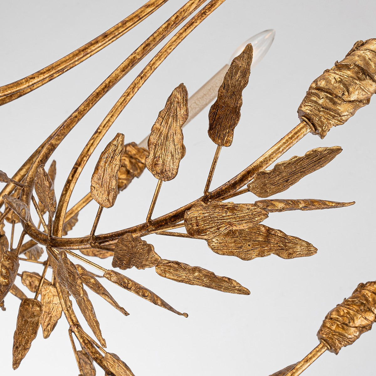 Lucas + McKearn Five Light Chandelier from the Palm d'Or collection in Gold finish